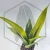 20260619_121534.webp