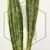 20260619_121726.webp