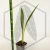 20260619_121742.webp