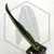 20260619_122031.webp