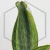 20260619_122055.webp