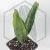 20260619_122130.webp