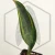 20260619_122147.webp