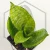 20260619_122258.webp