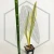 20260619_122450.webp