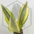 20260619_122803.webp