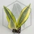 20260619_122813.webp
