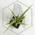 20260619_122904.webp