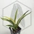 20260619_123044.webp