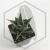 20260619_123406.webp