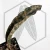 20260619_123653.webp