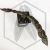 20260619_123704.webp