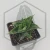 20260619_124027.webp