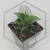 20260619_124116.webp