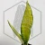 20260619_124458.webp