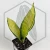 20260619_124517.webp