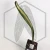 20260619_124955.webp