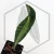 20260619_125032.webp