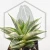 20260619_125343.webp