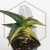 20260619_125424.webp