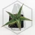 20260619_125504.webp