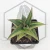 20260619_125603.webp