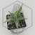 20260619_125621.webp
