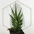 20260619_130355.webp