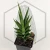 20260619_130410.webp