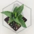 20260619_130454.webp