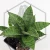 20260619_130508.webp