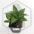 20260619_130516.webp