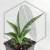 20260619_130643.webp