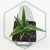 20260619_130654.webp