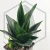 20260619_131010.webp