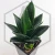 20260619_131037.webp