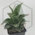20260619_131206.webp
