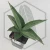 20260619_132206.webp
