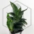 20260619_132245.webp