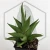 20260619_133439.webp