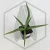 20260619_134134.webp