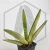 20260619_134156.webp