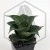 20260619_135804.webp