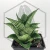 20260619_135831.webp