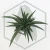 20260619_135927.webp
