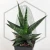 20260619_140300.webp