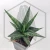 20260619_140312.webp