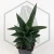 20260619_140605.webp