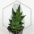 20260619_140640.webp