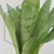 20260619_140933.webp